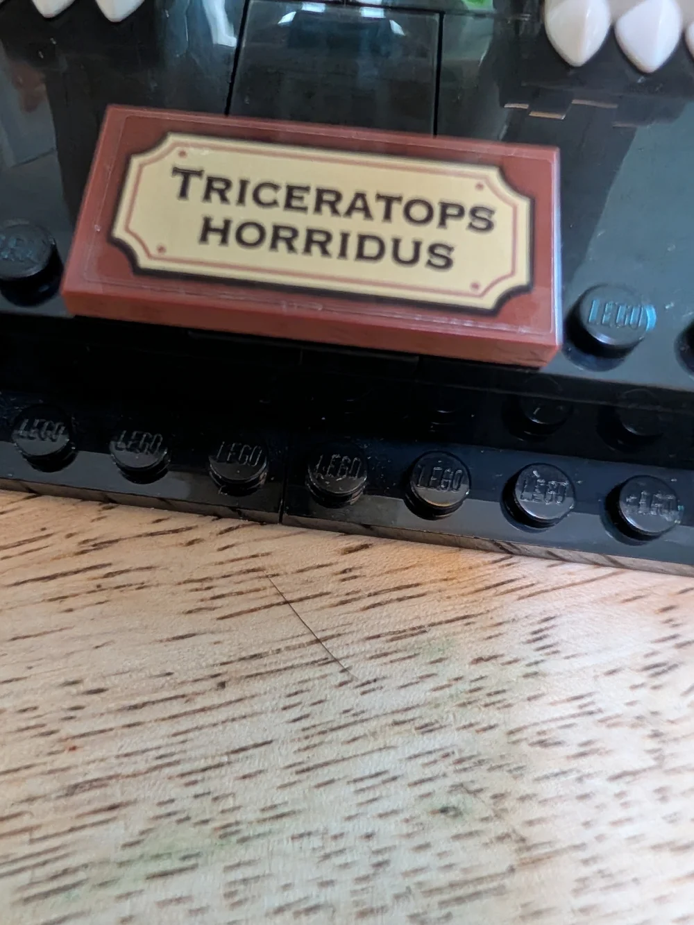 🦴 LEGO Set 21320 — Dinosaur Fossils - Complete